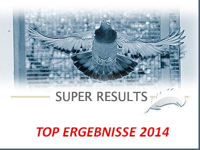 resultados estupendos para Willy Steen Aerts! 1., 2., 3., contra 3686 palomas en 27/07/2014