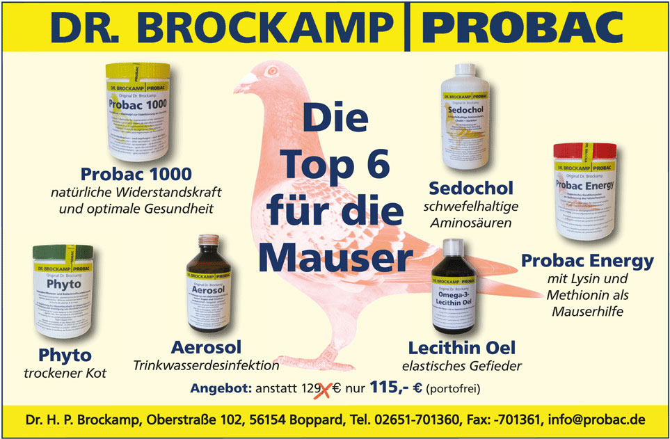Kassel 2014 Dr Brockamp 2
