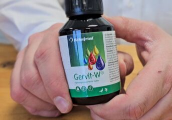 Gervit-W® - 完美的全年护理...