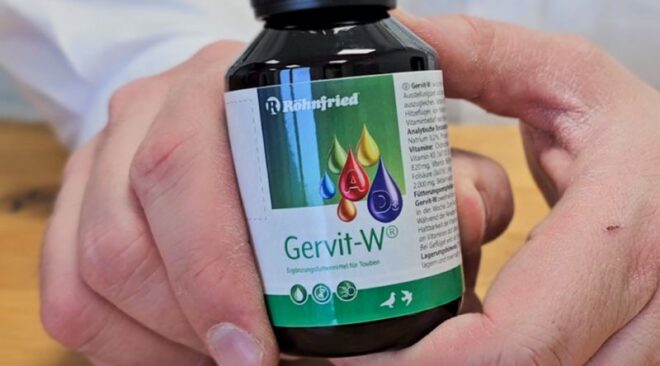 Gervit-W® - pour des soins parfaits toute l'année...