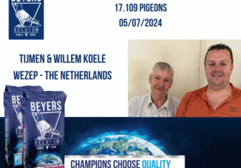 BARCELONA 2024 - Internationaler Sieger: Koele & 锌（韦泽普，荷兰）