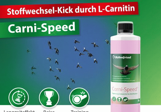 Produkt der Woche - Carni Speed...