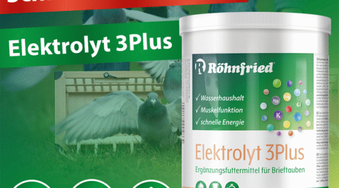 Für die Jungtaubenflüge 2024 - Elektrolyt 3Plus...