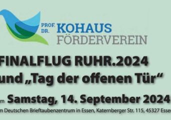 RUHR 2024...