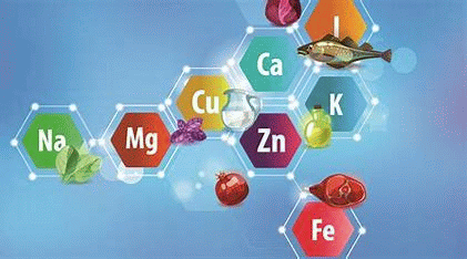 Mineralstoffe u. Spurenelemente - von Peter Klaus...