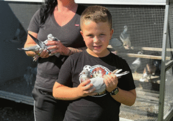 Levi Hering - Brieftaubensport mit der ganzen Familie...