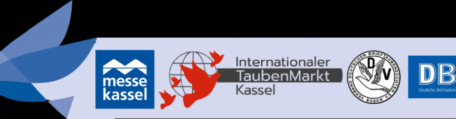 35. Internationaler TaubenMarkt/DBA Kassel 2024...