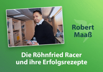 RÖHNFRIED TIPP...