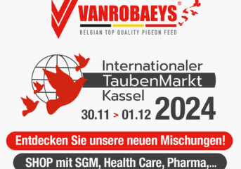 VANROBAEYS auf dem Internationalen TaubenMarkt/DBA in Kassel...